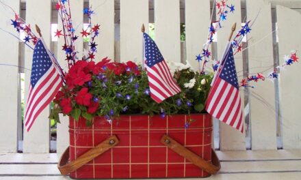 The High Cost of Celebrating Independence Day: A Look at the Numbers
