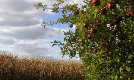 York Springs, Pennsylvania Supports Legal Migrant Workforce