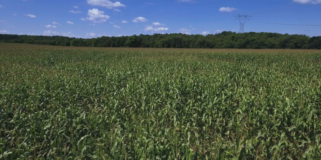 PA House Committee Approves Agriculture Bills on H-2A Visas and Food Processing Residuals