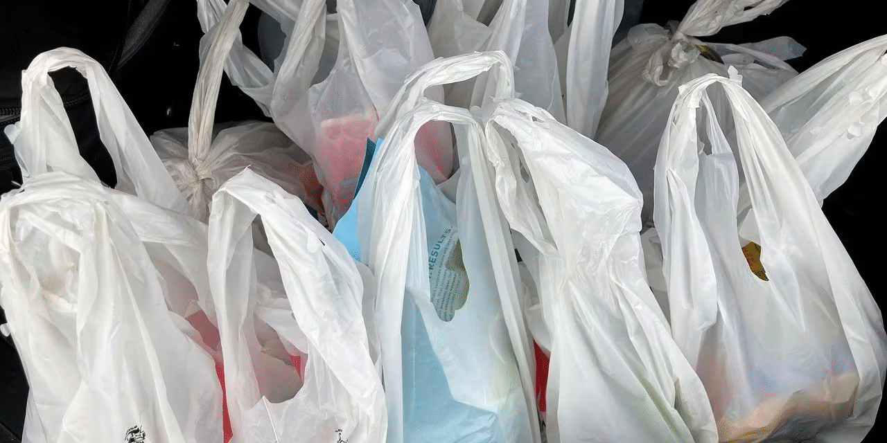 Should Single-Use Plastic Bags be Banned in the Commonwealth?
