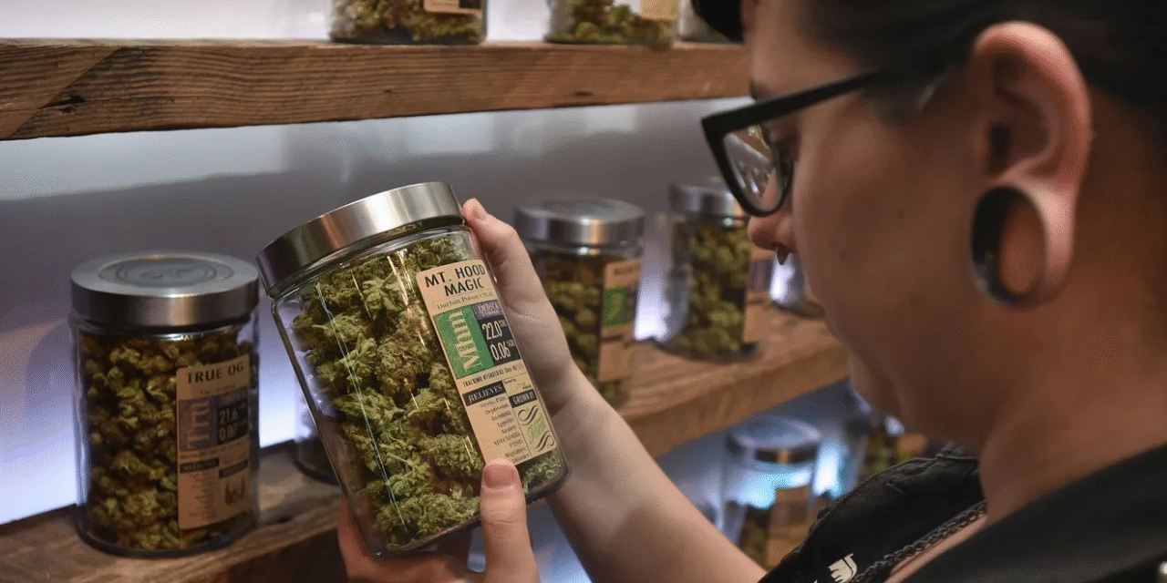 Pennsylvania Lawmakers Launch New Proposals to Legalize Marijuana  