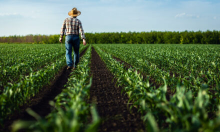 Chairman G.T. Thompson Works to Finalize Farm Bill