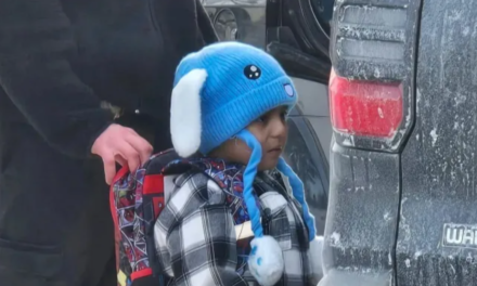 Media Misreported ICE Encounter With 5-Year-Old